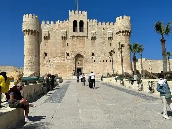 Full-Day Alexandria Tour from Cairo by Car with Entry Tickets & Lunch | Gem Explore Egypt