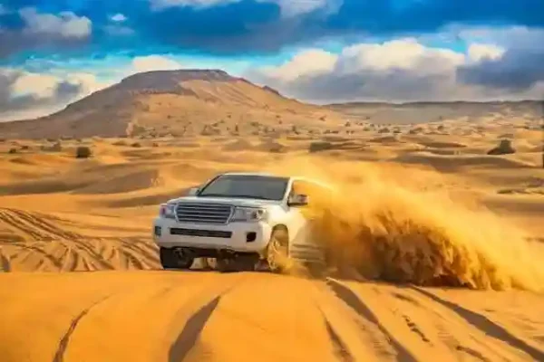 Fayoum Adventure: Wadi El Hitan, Wadi El Rayan & 4×4 Desert Safari