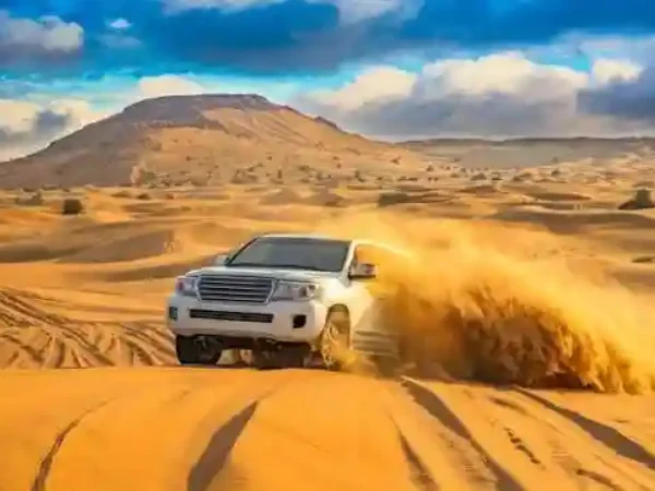 Fayoum Adventure: Wadi El Hitan, Wadi El Rayan & 4×4 Desert Safari