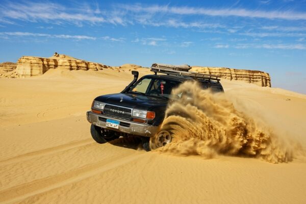 Fayoum Adventure: Wadi El Hitan, Wadi El Rayan & 4×4 Desert Safari