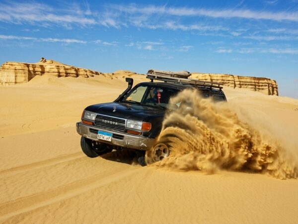 Fayoum Adventure: Wadi El Hitan, Wadi El Rayan & 4×4 Desert Safari
