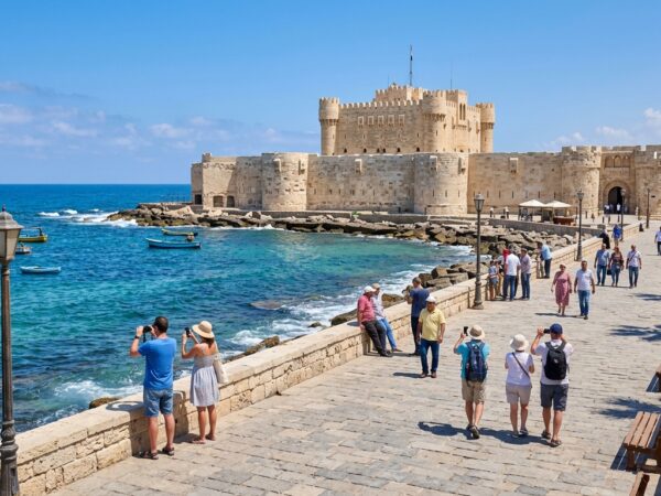 Full-Day Alexandria Tour from Cairo by Car with Entry Tickets & Lunch | Gem Explore Egypt