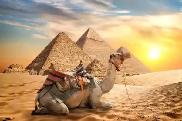 Giza Pyramids & Saqqara Step Pyramid Private Tour from Alexandria Port